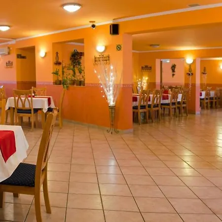 Hotel Arany Patko 3*