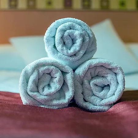 Hotel Arany Patko Panzio 3*