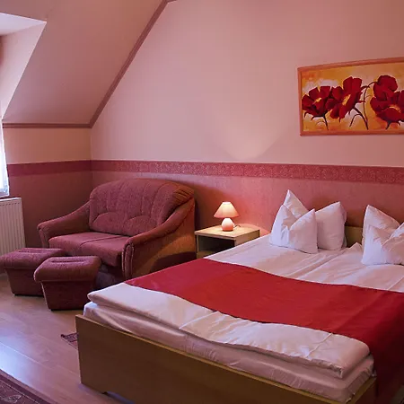 Arany Patko Hotel