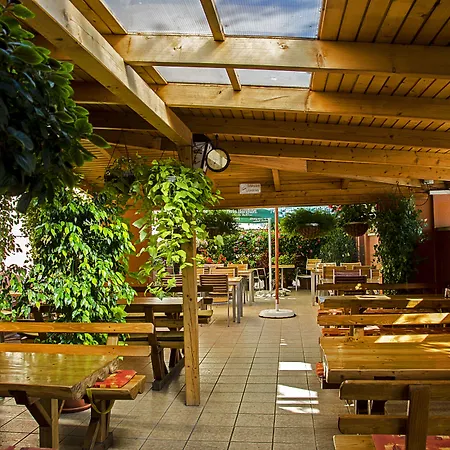 Arany Patko Debrecen