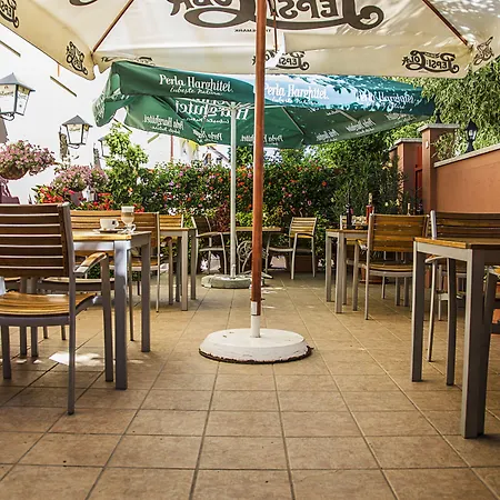 Arany Patko Debrecen