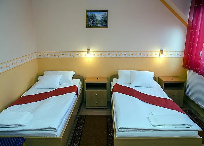 Hotel Arany Patko