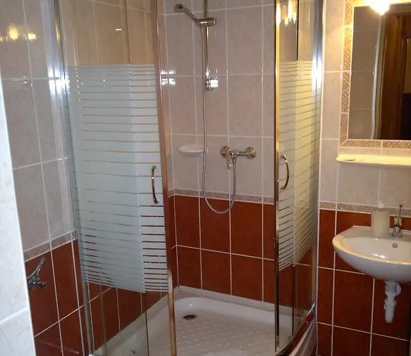 Hotel Arany Patko 3*