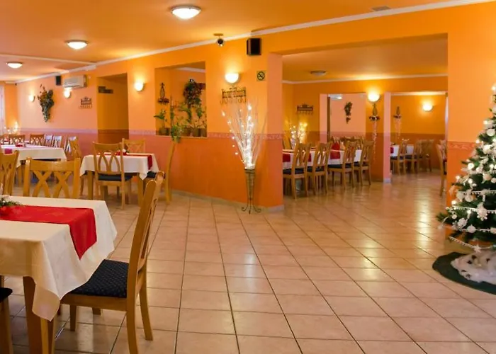 Hotel Arany Patko 3*