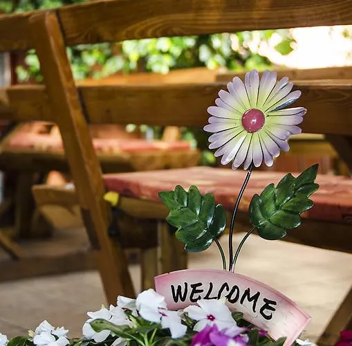 Hotel Arany Patko 3*