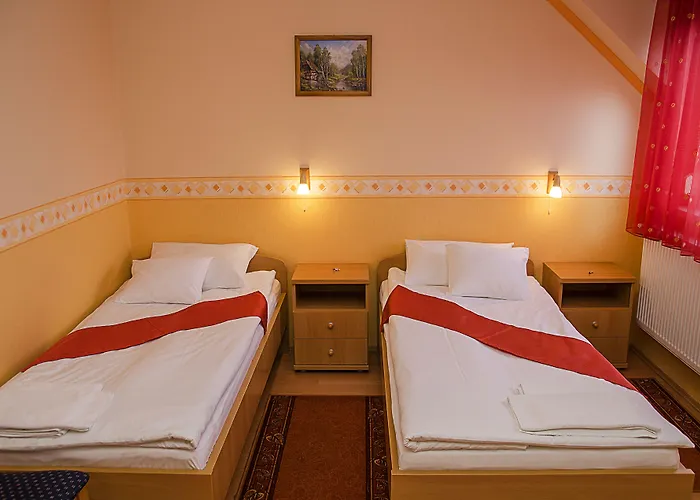 Hotel Arany Patko
