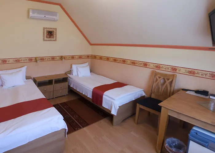 Arany Patko Debrecen