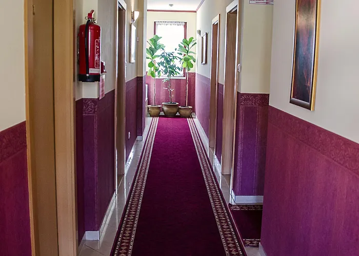 Arany Patko 3*